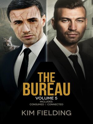 cover image of The Bureau